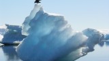 Pavel Sevcik, Antarcticskua