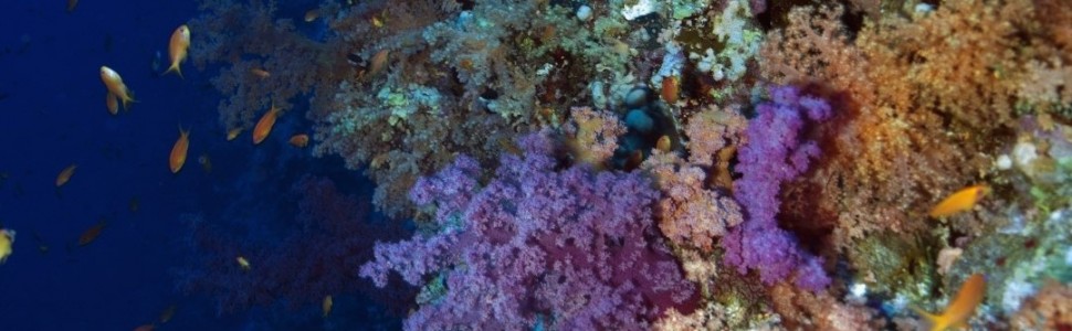 Świat w obiektywie Piotra Kliszcza